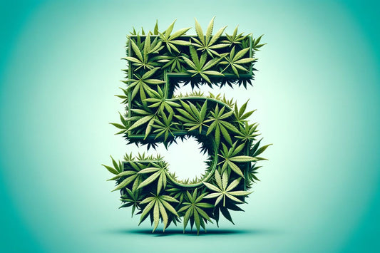 Feuilles de cannabis formant un chiffre cinq