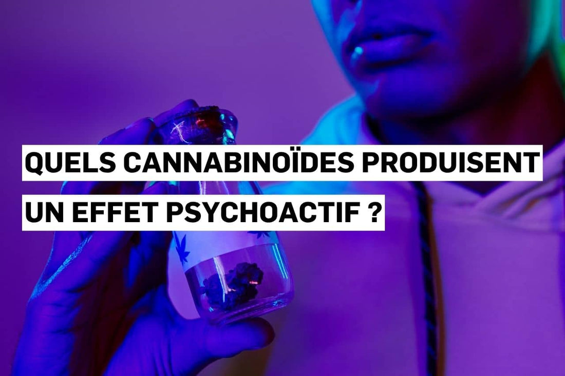 Quels cannabinoïdes produisent un effet psychoactif ?