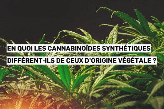 Cannabinoïdes synthétiques comparés aux cannabinoïdes naturels issus de plantes.