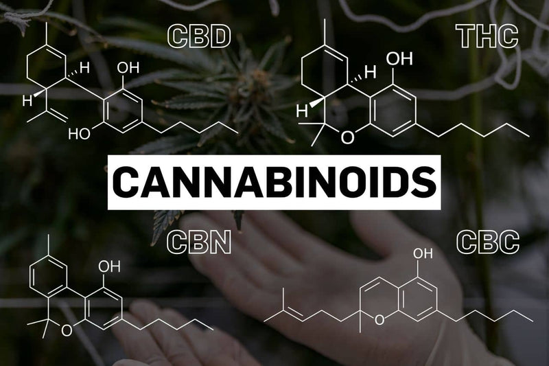 What is THCV (tetrahydrocannabivarin)?
