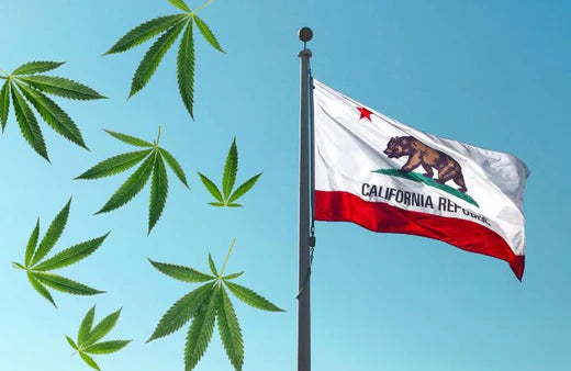 Drapeau de la Californie brandi et feuilles de cannabis