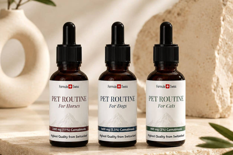 Huiles de CBD Pet Routine de Formula Swiss pour chevaux, chiens et chats sur une surface en pierre