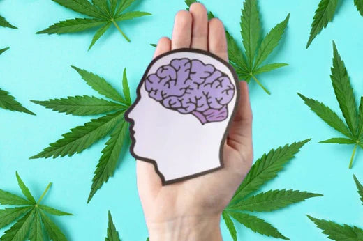 llustration du cerveau avec des feuilles de cannabis en arrière-plan