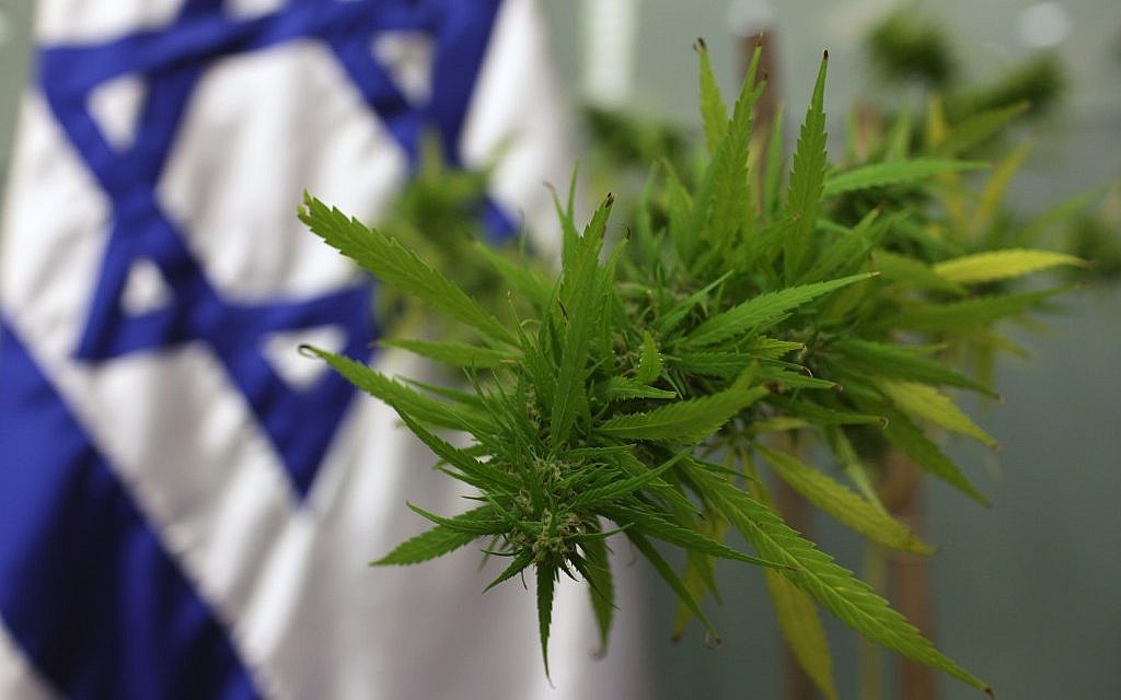 Nouvelles réglementations sur le cannabis médical en Israël