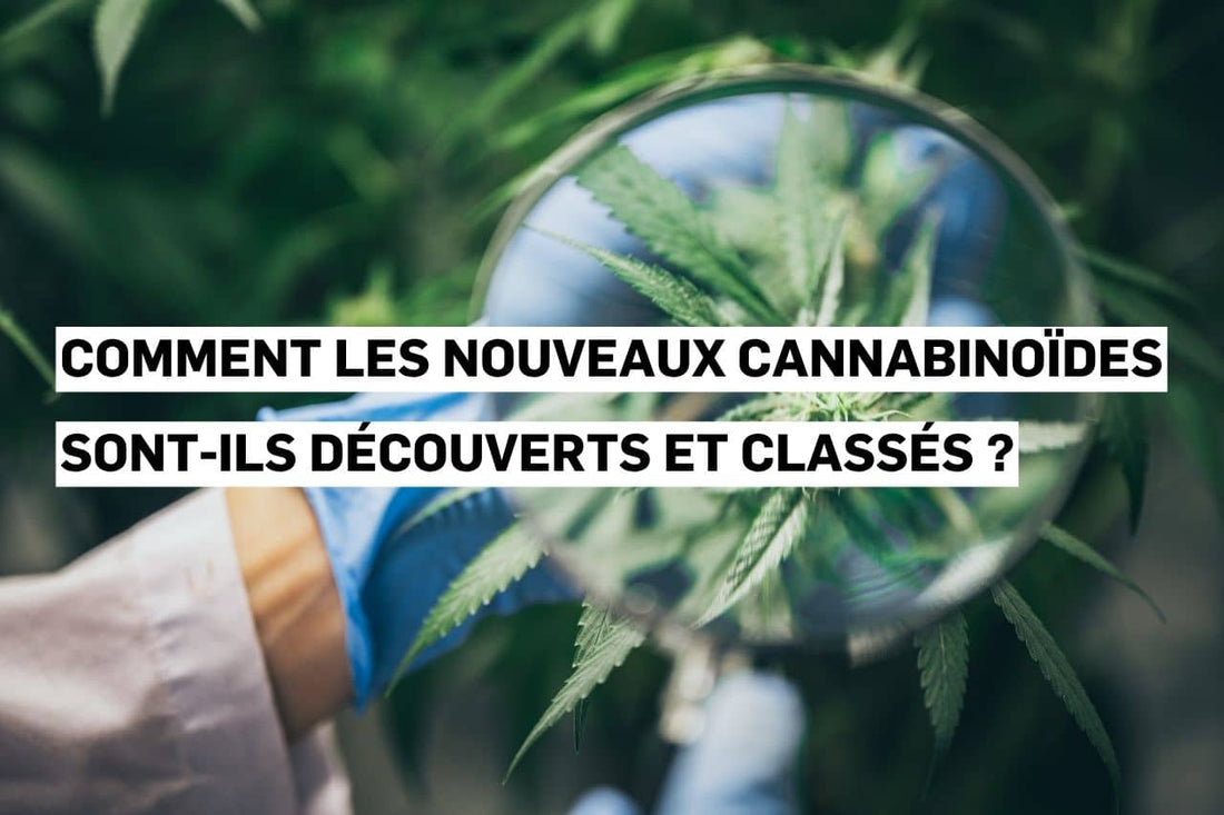 Comment les nouveaux cannabinoïdes sont-ils découverts et classés ?