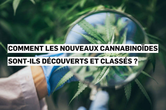 Comment les nouveaux cannabinoïdes sont-ils découverts et classés ?
