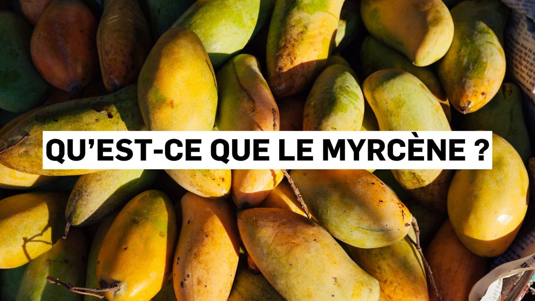 Qu’est-ce que le myrcène ?