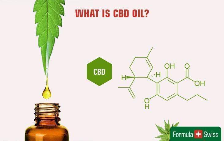 Qu'est-ce que le CBD? Le guide complet sur le cannabidiol, son utilisation, ses avantages et les risques de l'huile de CBD