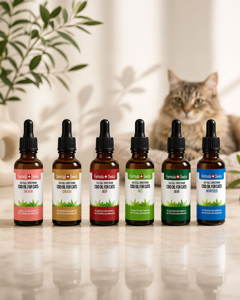 Huile de CBD pour chats