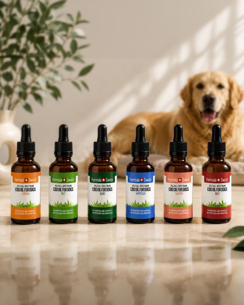 Huile de CBD pour chien