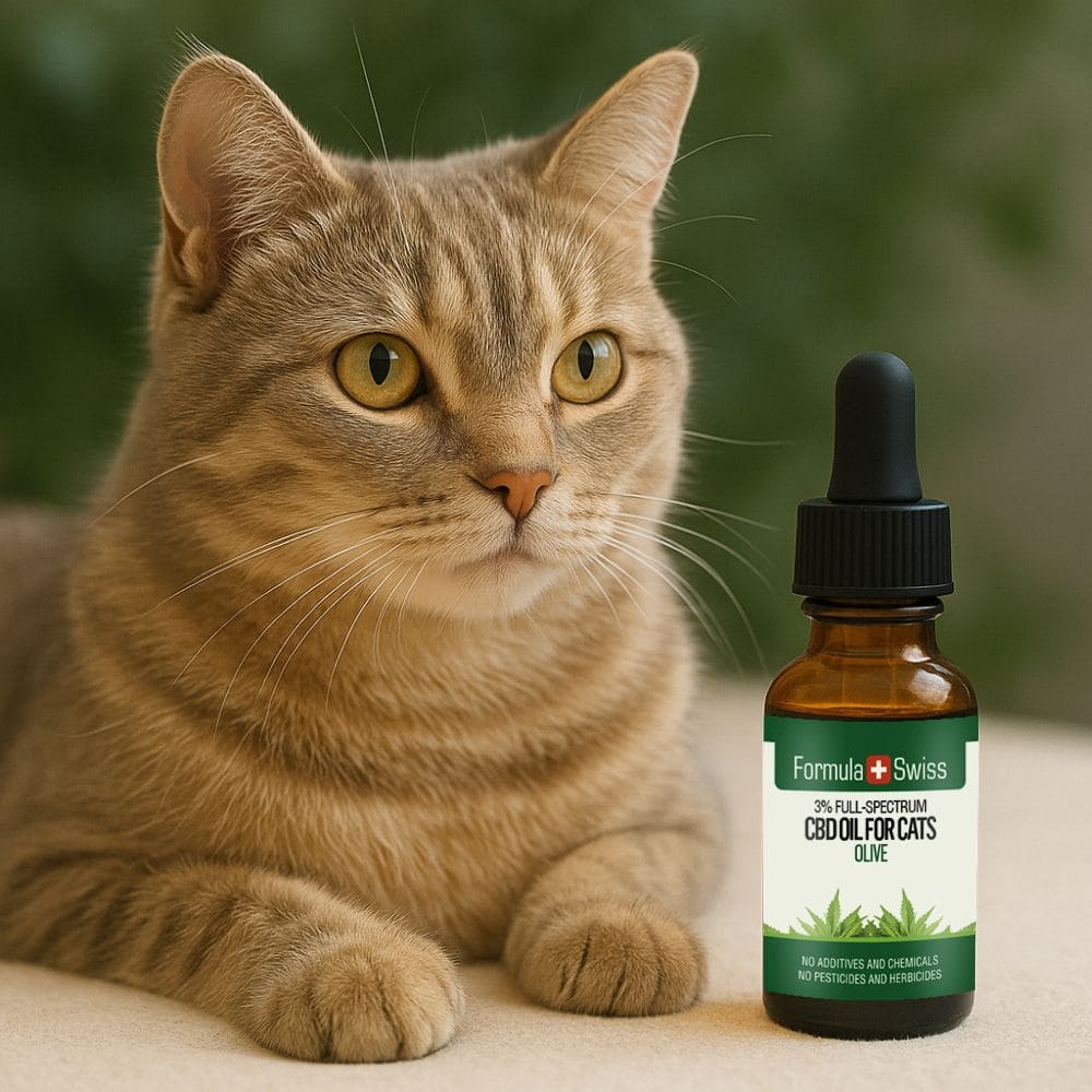 Huile de CBD pour chats olive
