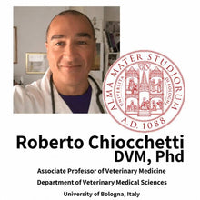 Professor Roberto Chiocchetti de l'Université de Bologne