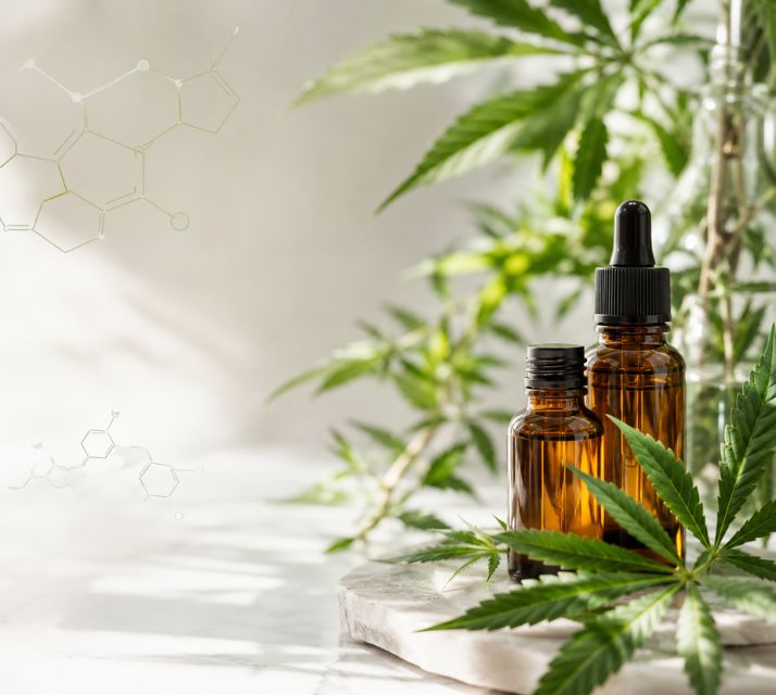 Éducation aux cannabinoïdes et composés végétaux au chanvre