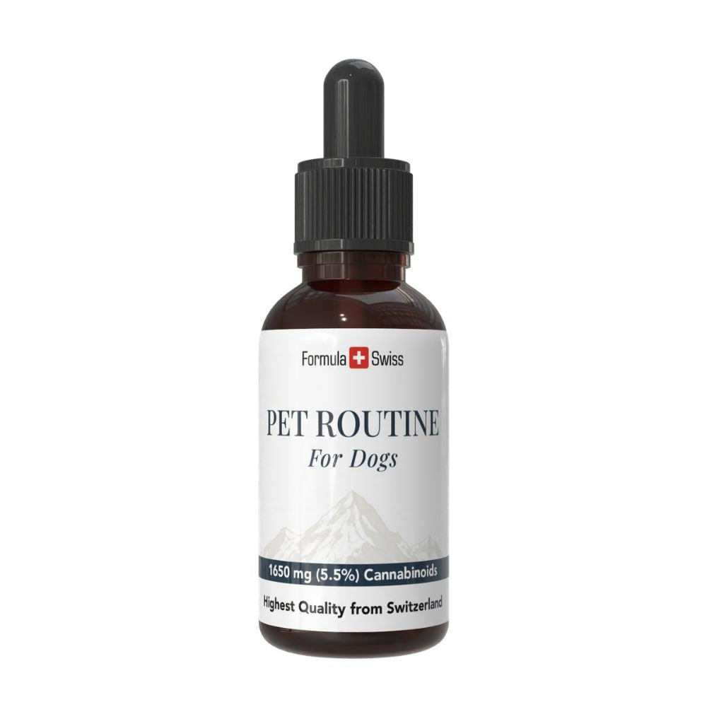 Flacon Pet Routine pour chiens avec étiquette blanche, sur fond blanc