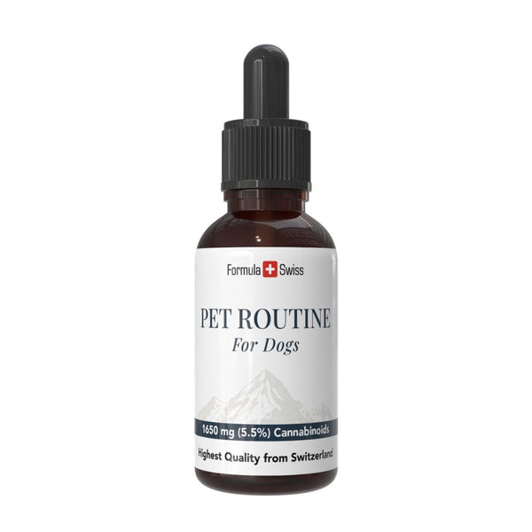 Bouteille de 'Pet Routine for Dogs' avec une étiquette blanche sur fond blanc